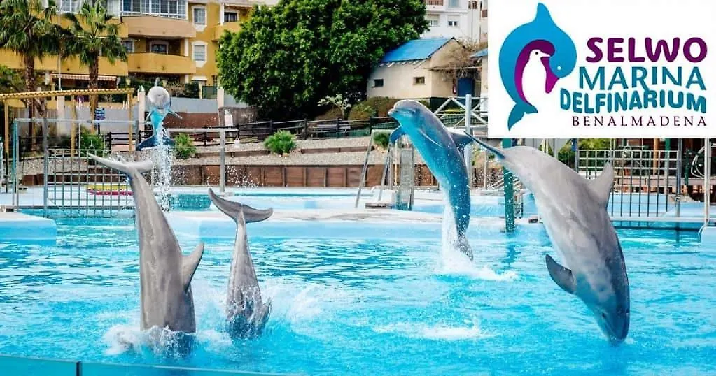 Apartment Benalbeach Playa Suite Benalmadena